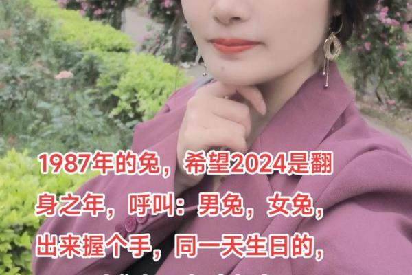 1987年属兔人的命运解析与性格特点 1987年属兔人的命运解析与性格特点