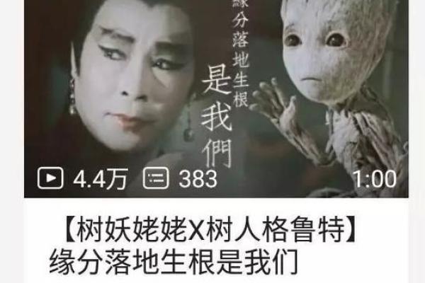 男女桃花命的秘密:缘分与运势的奇妙交织 男女桃花命的秘密:缘分与运势的奇妙交织
