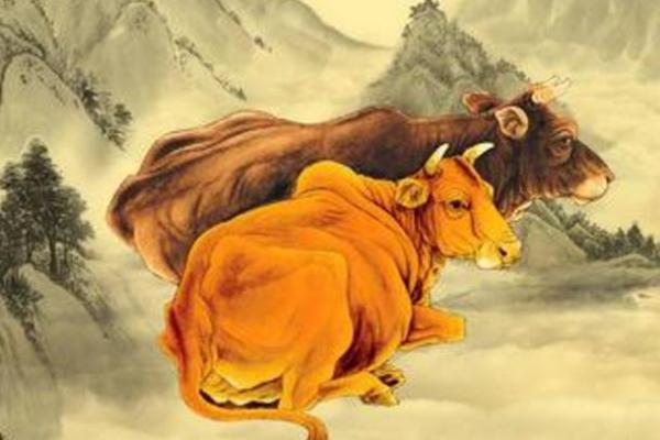 1948年牛命人的性格与命运解析 1948年牛命人的性格与命运解析