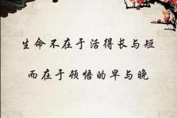 50岁属狗的人命运解析：在不同人生阶段的精彩与挑战