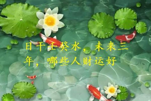 火命男人与水命女人的商业合作：最佳生意选择与成功之道