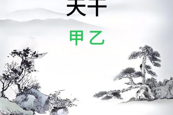 木命与他命相合：寻找最合适的另一半的方法