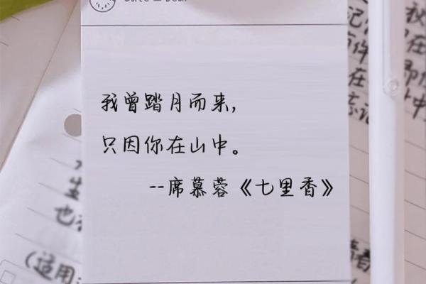 情深至命，探寻爱的深度与人生的哲学