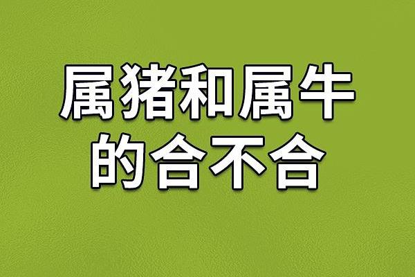 07属猪的命运解析：财富、健康与幸福的三重奏