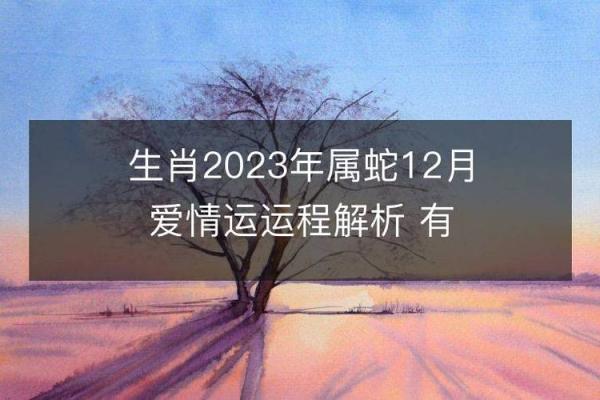 命理解析：72年蛇的命运与性格特征