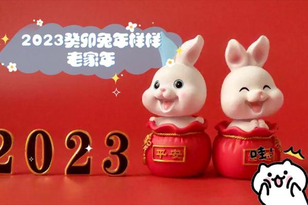 癸卯年：探究2023年的命理与人生智慧