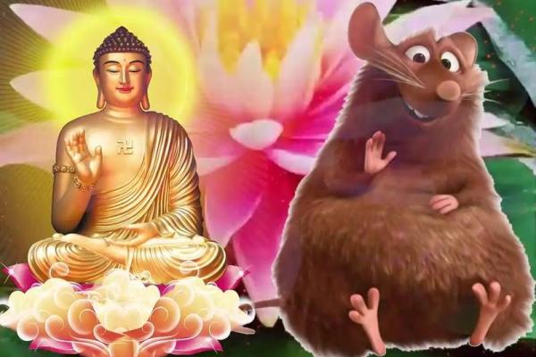 72年出生的人命运解析：蕴藏智慧与力量的“鼠”年之人