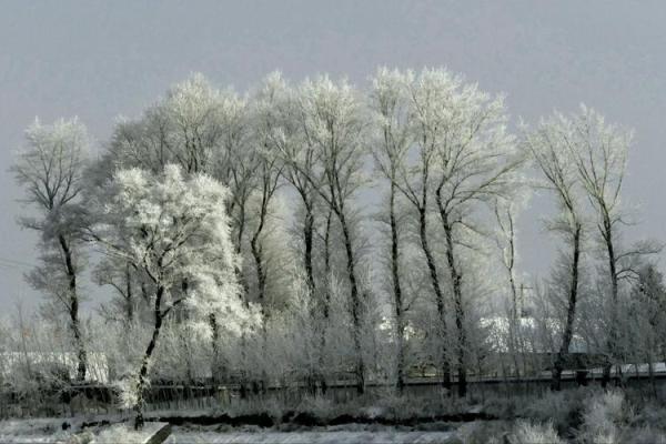 1999年冬月22日出生的命运探寻与人生启示 1999年冬月22日出生的命运探寻与人生启示