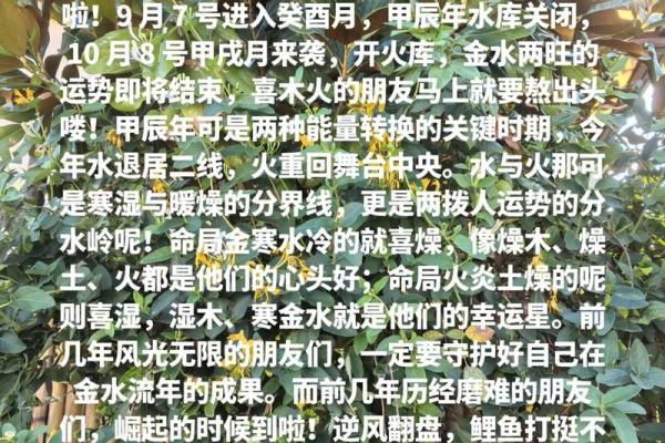 癸酉年命解析:与哪些年份最相配,助你扬帆起航! 癸酉年命解析:与哪些年份最相配,助你扬帆起航!