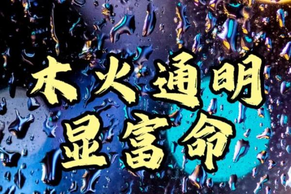 木命水牛适合的颜色：探寻五行与色彩的和谐之道