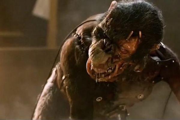 1980年的猴子:命运与性格的秘密探讨 1980年的猴子:命运与性格的秘密探讨