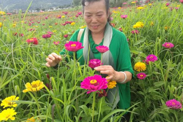火命人适合养的植物，点亮生活的每一天！
