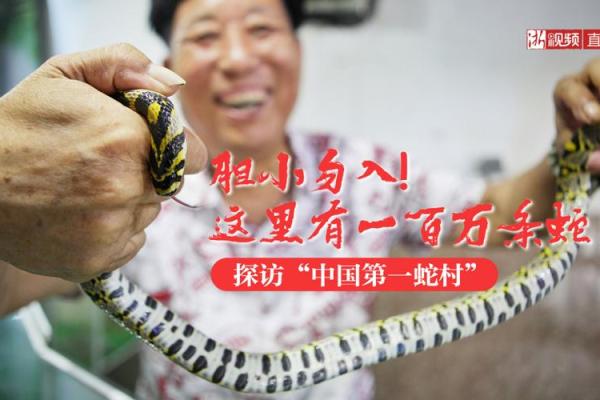 1941年的蛇:命运与性格之探秘 1941年的蛇:命运与性格之探秘