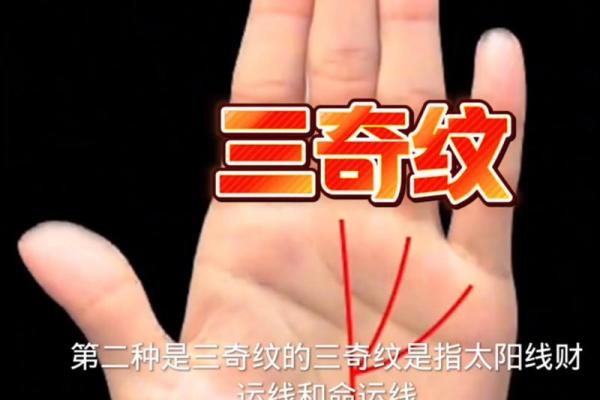 掌纹解密:透视女人命运的秘密与优势 掌纹解密:透视女人命运的秘密与优势