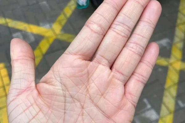 掌纹解密:透视女人命运的秘密与优势 掌纹解密:透视女人命运的秘密与优势