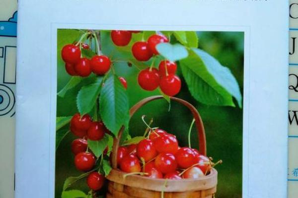 2003年:科技与生活交融的年华,回顾那些年我们的改变与成长 2003年:科技与生活交融的年华,回顾那些年我们的改变与成长