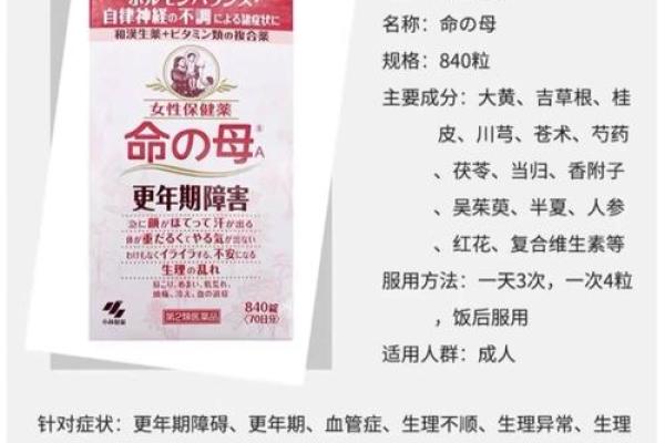 母命之道：探索母亲与人生的深刻联系