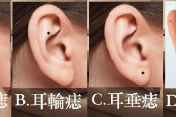 圆耳朵的人有什么命运特征?解密耳相与性格的奥秘 圆耳朵的人有什么命运特征?解密耳相与性格的奥秘