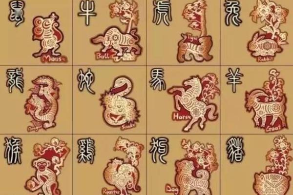 1949年出生的生肖与命运解析，如何抓住人生机遇？