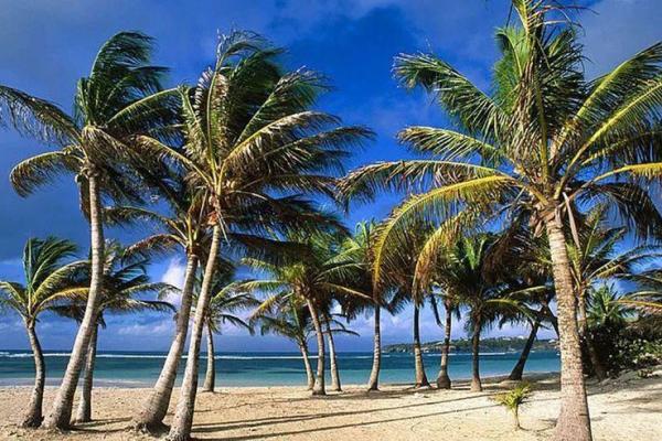 海中金命的颜色选择：哪些颜色会影响运势？