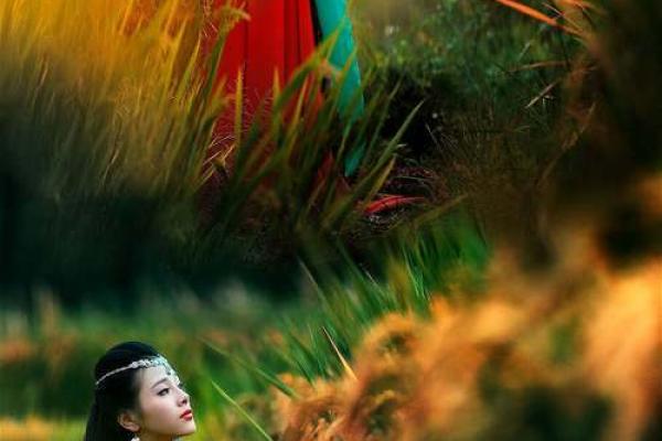 游子命：探索游子背后的命运与情感