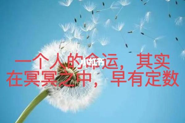 209年出生之人的命运与性格解析:揭示人生的奥秘与智慧 209年出生之人的命运与性格解析:揭示人生的奥秘与智慧