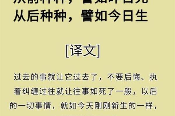 命理格局：探寻命运之中的奥秘与美好人生
