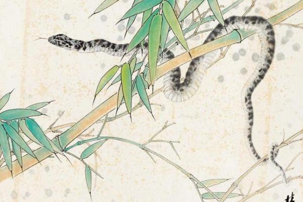 33岁属小蛇:解析命运与性格特征,探讨人生未来方向! 33岁属小蛇:解析命运与性格特征,探讨人生未来方向!