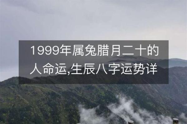 命运与机会：解读2001腊月26日的特征与启示