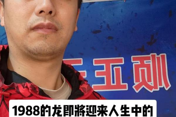 88年出生的龙,命缺什么?解析与建议! 88年出生的龙,命缺什么?解析与建议!