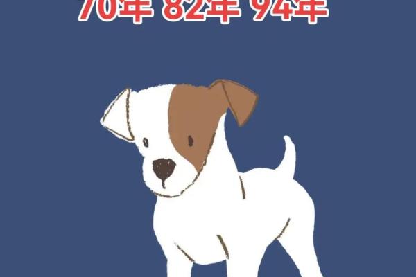 82年狗狗命运解析:揭秘你的生肖狗的性格与运程! 82年狗狗命运解析:揭秘你的生肖狗的性格与运程!