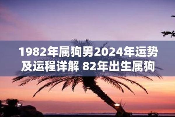 82年狗狗命运解析:揭秘你的生肖狗的性格与运程! 82年狗狗命运解析:揭秘你的生肖狗的性格与运程!