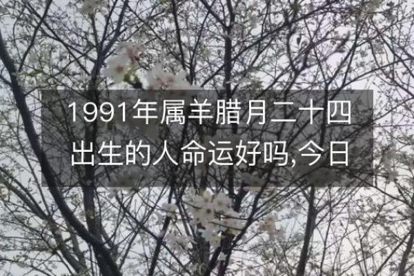 1991年出生女性的命理分析与人生启示 1991年出生女性的命理分析与人生启示