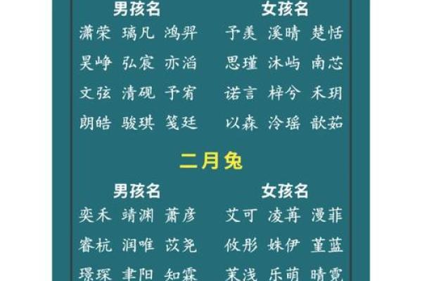 2023年兔宝宝的命运分析：阐述兔年的精髓与未来方向