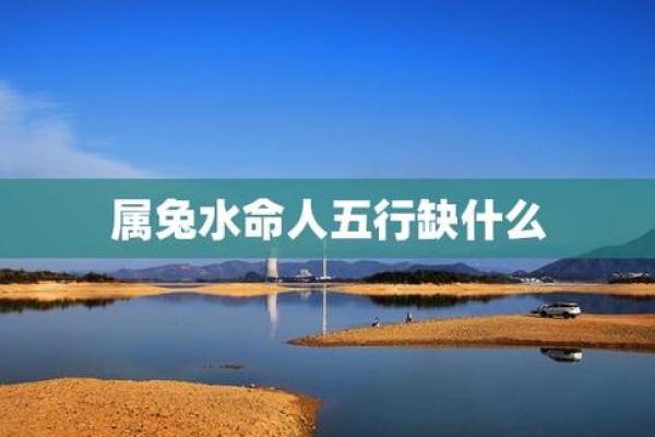 1987年出生的兔子水命：命理解析与生活智慧