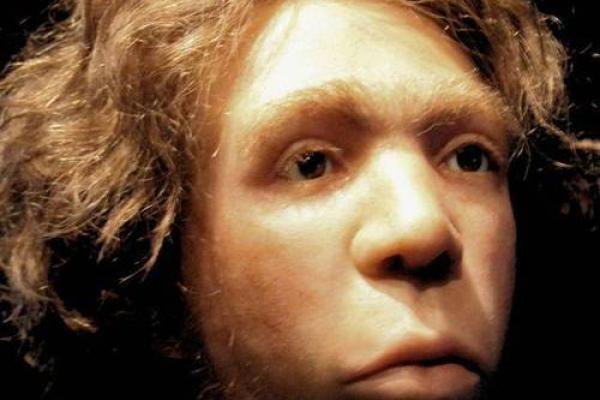 胡须过硬,命不好?探秘男性面部毛发的秘密与影响 胡须过硬,命不好?探秘男性面部毛发的秘密与影响