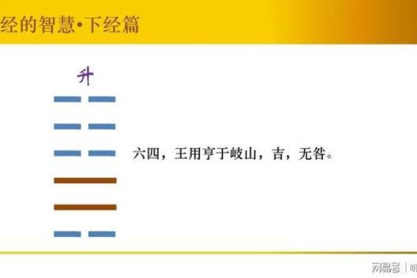 木命人适合的方位与生活提升秘诀