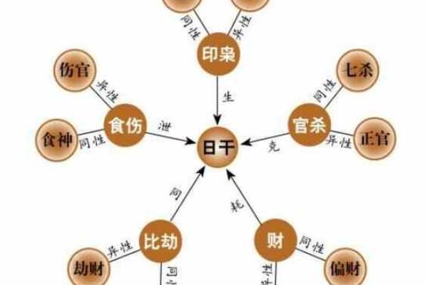 命里带娘娘：探寻命理背后的深意与魅力