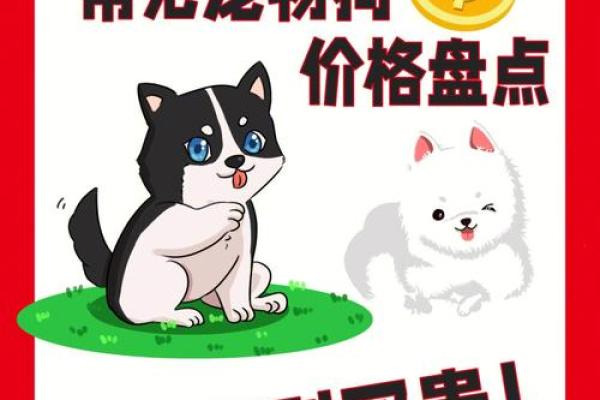 狗生肖男生命运解析:适合的职业与人生规划 狗生肖男生命运解析:适合的职业与人生规划