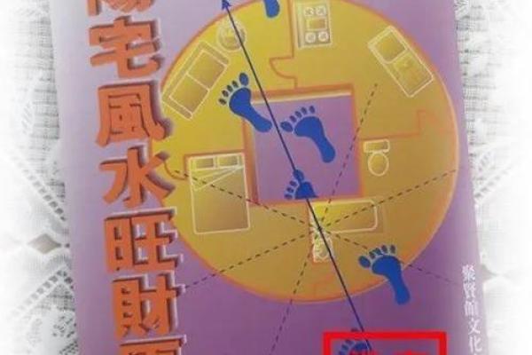 癸酉乙卯戊子命理解析：掌握命运的秘密与人生的智慧