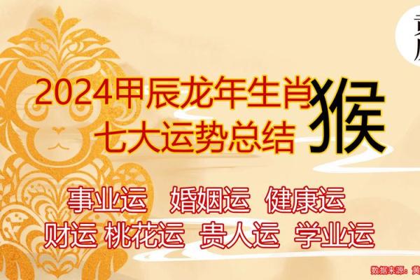 04年出生的猴年宝宝，命运与个性的神秘解析
