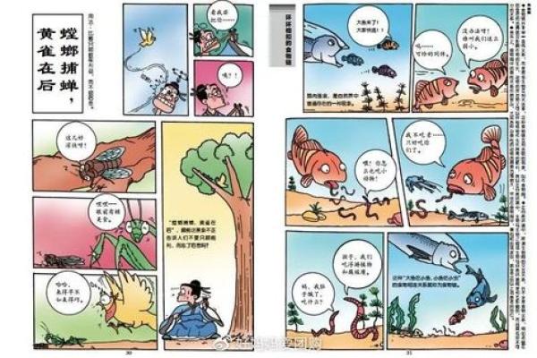 命运之轮：揭开命名成语的神秘面纱与生活智慧