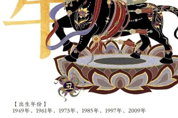 1973丑牛命人：恪守坚定，追寻梦想的独特人生之旅