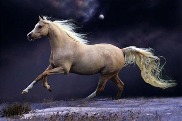 子时出生的女孩命运解析:聪慧与魅力的结合之路 子时出生的女孩命运解析:聪慧与魅力的结合之路