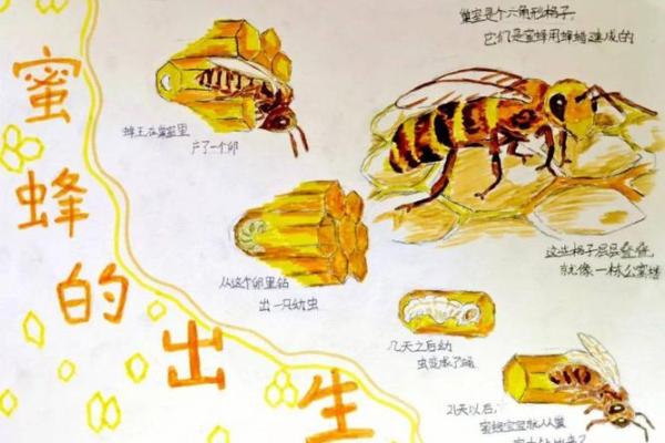 槐树命的深意：探寻命理与自然的奇妙联系