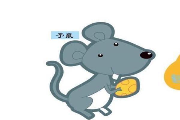 1984年出生的水命人生运势与性格解析 1984年出生的水命人生运势与性格解析