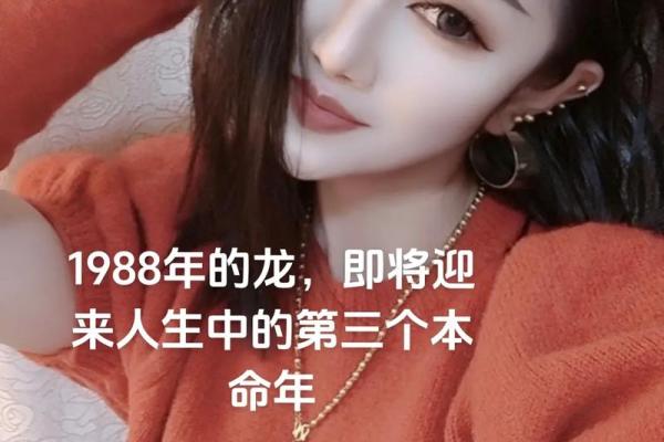 1988年正月22日出生的命运与人生启示 1988年正月22日出生的命运与人生启示