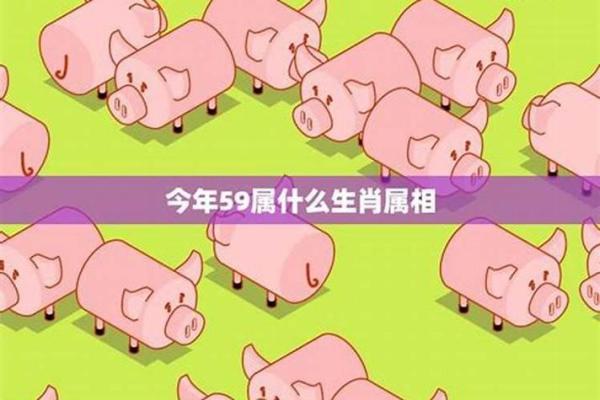 2019年猪宝宝的命运解析：幸福、财富与未来发展潜力！