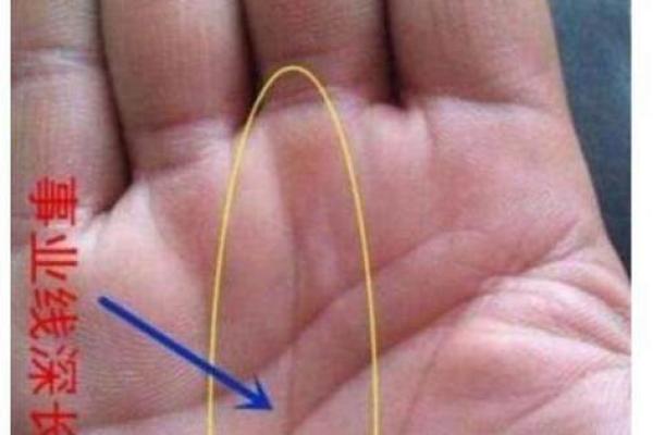 67年出生之人的命格解析与人生指引 67年出生之人的命格解析与人生指引