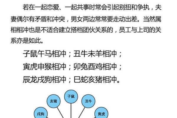 1999腊月兔的命运揭秘：属兔人的生活智慧与缘分探析